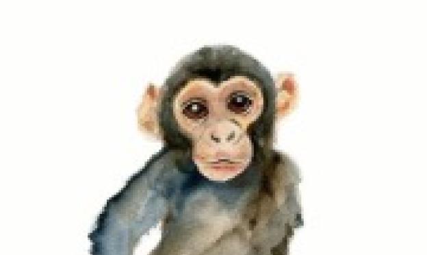 Гороскоп весы обезьяна на год
